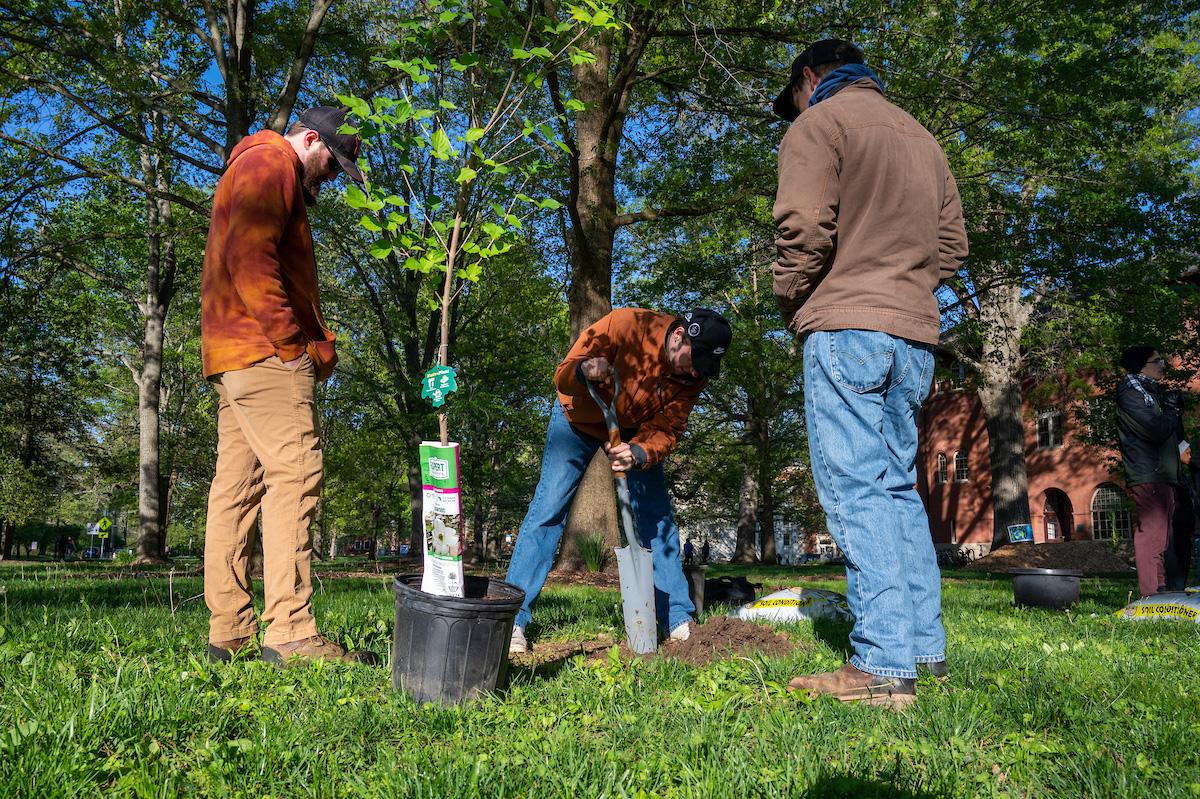 Tree planting